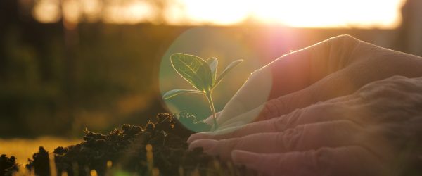 Anteprima Eresys Compost